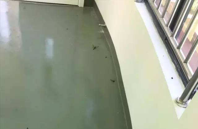 死尸遍地！寧波一幼兒園裝修后現(xiàn)場(chǎng)觸目驚心！