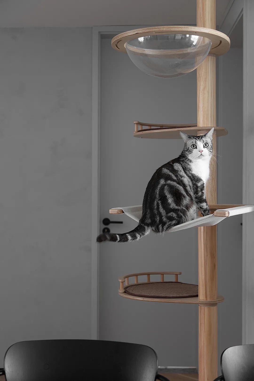 奧軒裝飾上海裝修上海工裝公司_上海裝修設計_上海國際設計上海展覽會