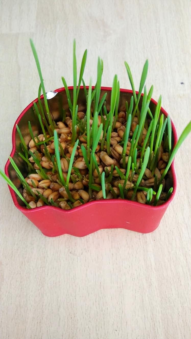 上海平元設計設計_門廳過道裝修與風水設計_上海裝修設計