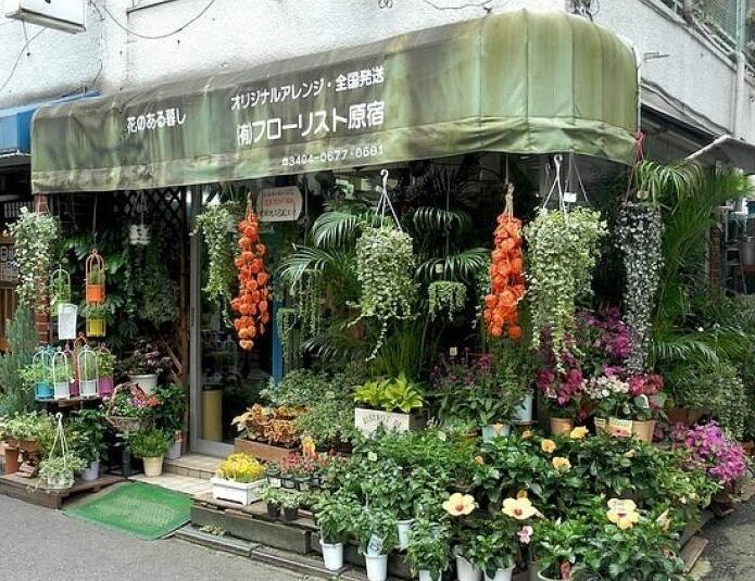 90后美女在閣樓開店鋪！房間太破，奇思妙想用各種植物來掩蓋