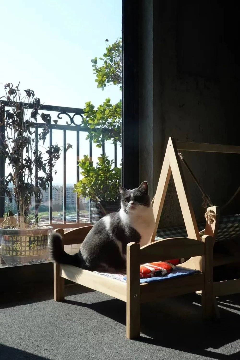 我為什么住進毛坯房？