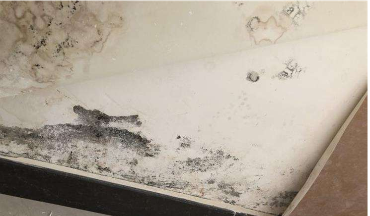 搞定梅雨天墻面受潮發(fā)霉，就選美涂士凈味抗甲醛微晶石藝術(shù)漆