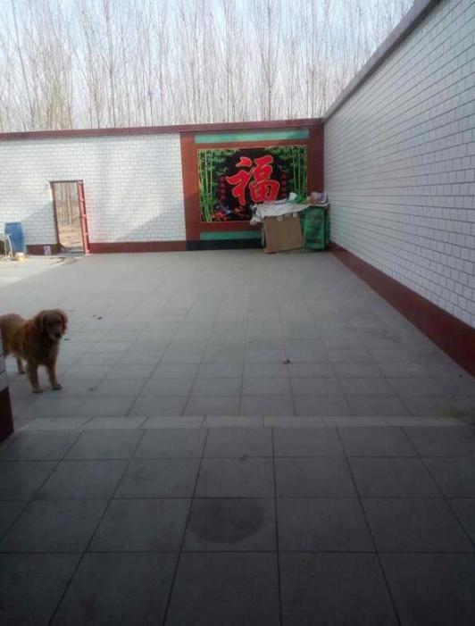 曬曬我的農(nóng)村婚房，占地面積600平，廚房超級大，臥室誰見過？