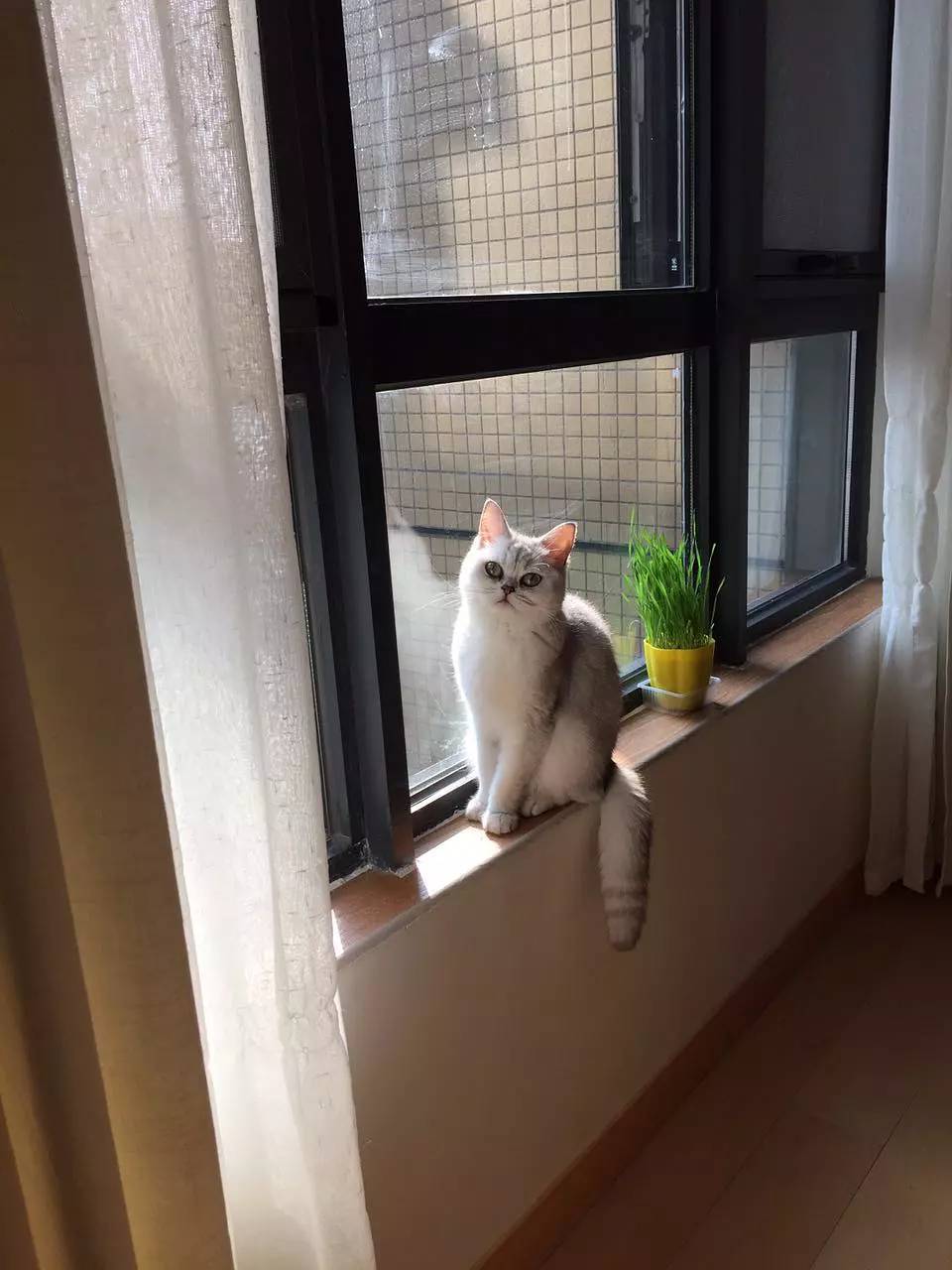 門(mén)檻石價(jià)格_入戶(hù)門(mén)檻石裝修效果圖_門(mén)檻石裝修效果圖