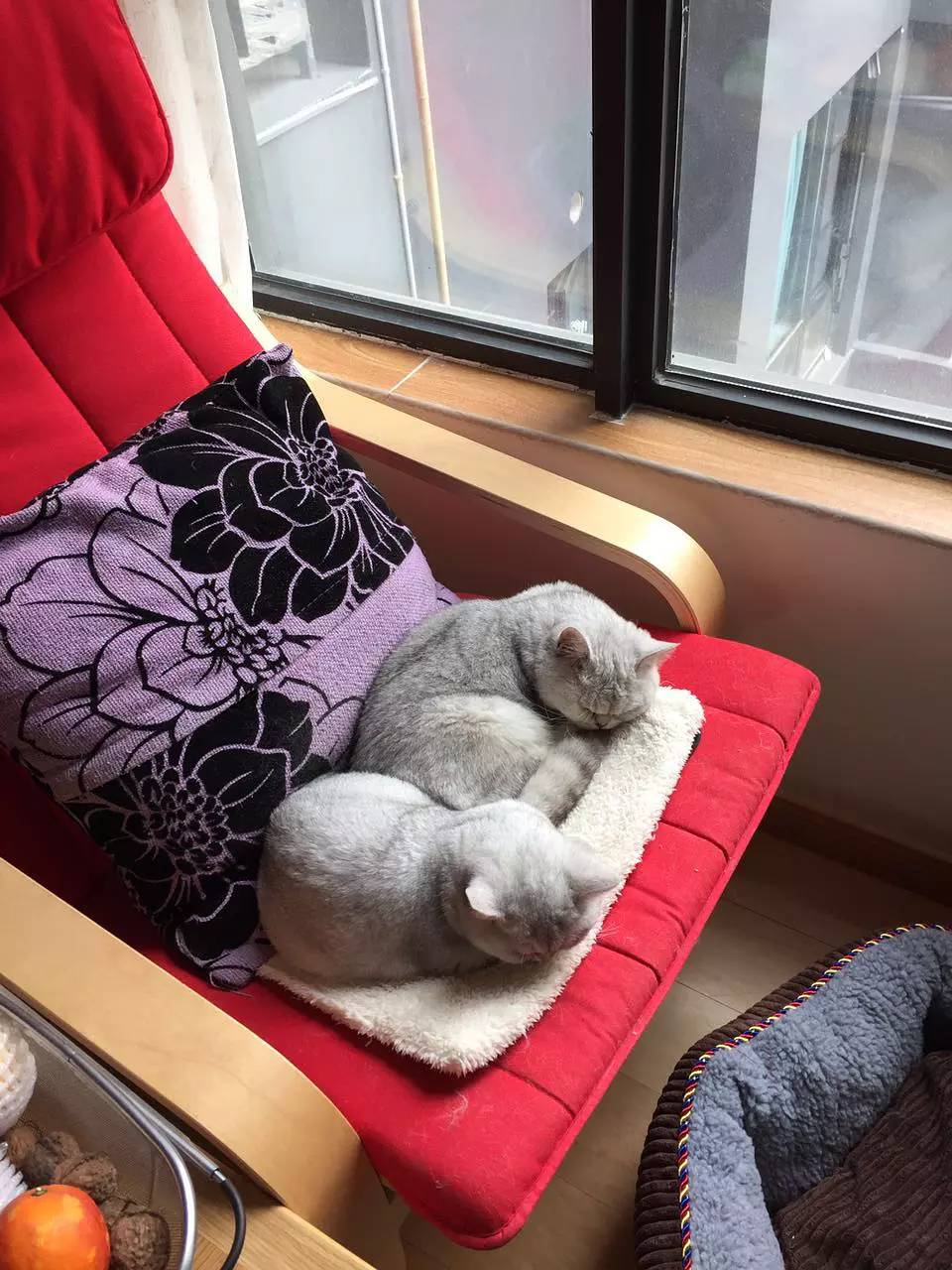 入戶(hù)門(mén)檻石裝修效果圖_門(mén)檻石裝修效果圖_門(mén)檻石價(jià)格